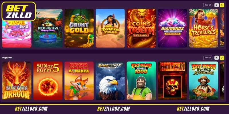 Betzillo reviews: Is the Betting Library Truly Diverse?