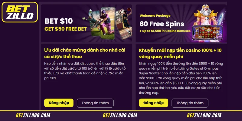 Essential Guidelines for Claiming Betzillo Promotions