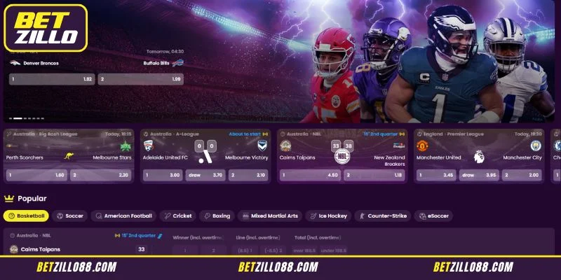 General Overview: An In-Depth Betzillo reviews