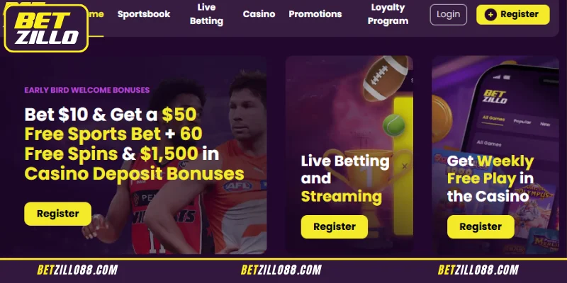 Introduction to About Us Betzillo