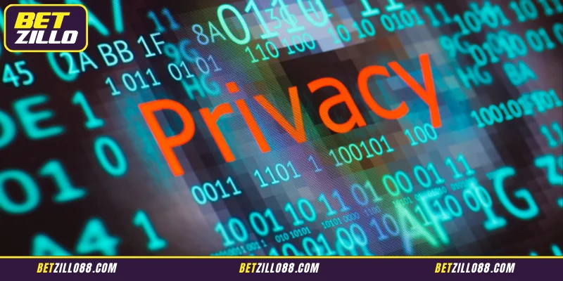 Introduction to Betzillo's Privacy Policy