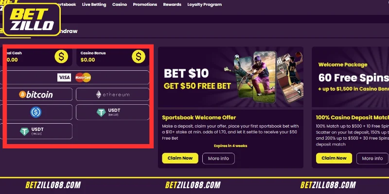 Summary of Betzillo Deposit Methods